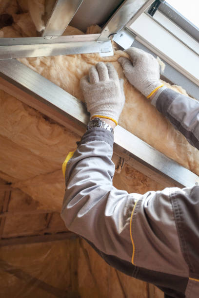 Best Spray Foam Insulation in Elmwood Park, IL