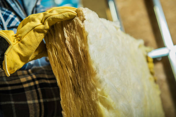 Best Insulation Maintenance and Repair in Elmwood Park, IL