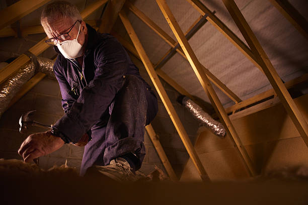 Types of Insulation We Offer in Elmwood Park, IL